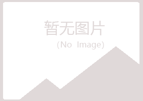 陆丰字迹司机有限公司